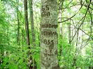 надпись на дереве, вершина Травяной Шпиль