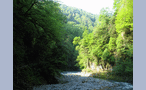  река Агва впадает в реку Сочи