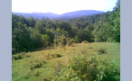 вид из Семёновки на гору Ахун