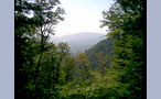  Вдалеке видно гору Ахун (662,7 м). Из города Ахун кажется остроконечнум, а вот со стороны гор - такой холмик