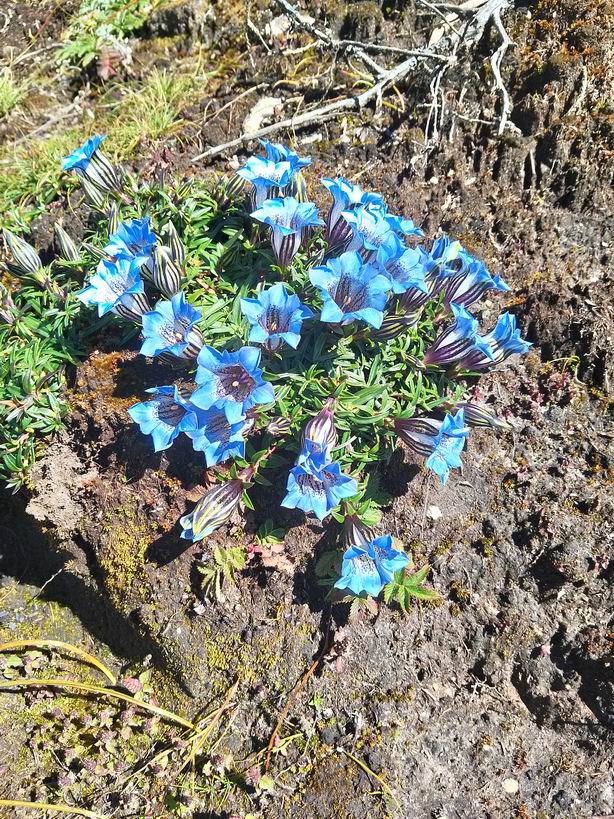 Парк "Сагарматха". Трек "Три перевала", на пределе физических сил.