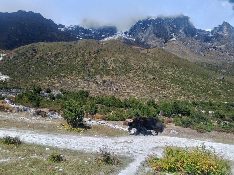 Парк "Сагарматха". Трек "Три перевала", на пределе физических сил.