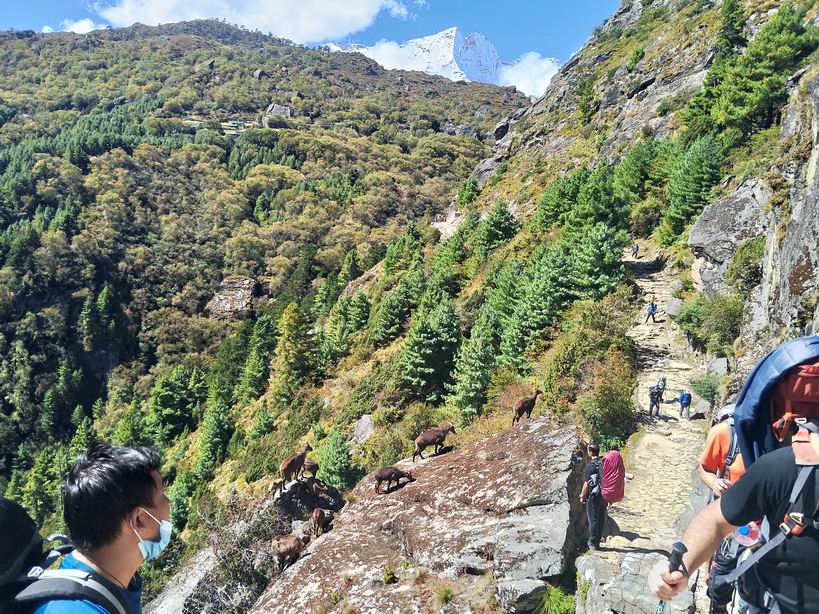 Парк "Сагарматха". Трек "Три перевала", на пределе физических сил.