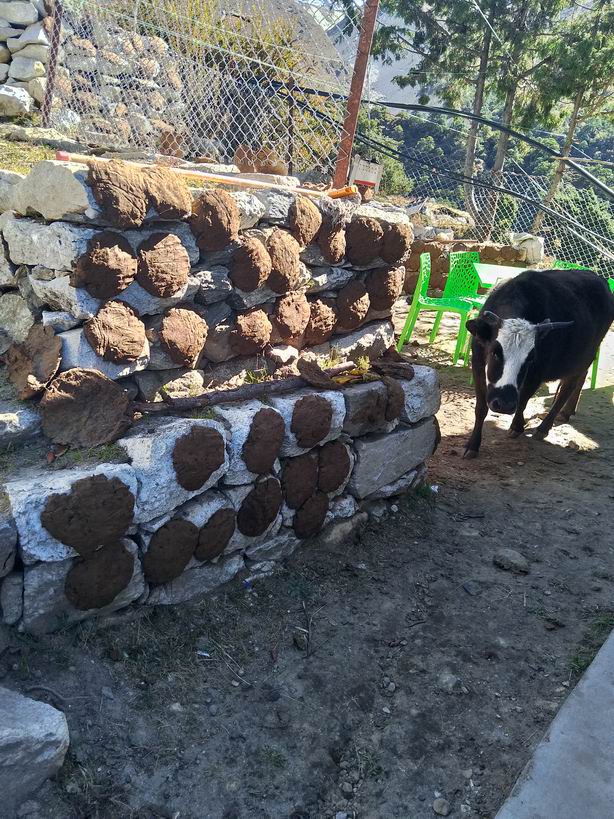 Парк "Сагарматха". Трек "Три перевала", на пределе физических сил.