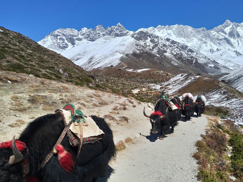 Парк "Сагарматха". Трек "Три перевала", на пределе физических сил.