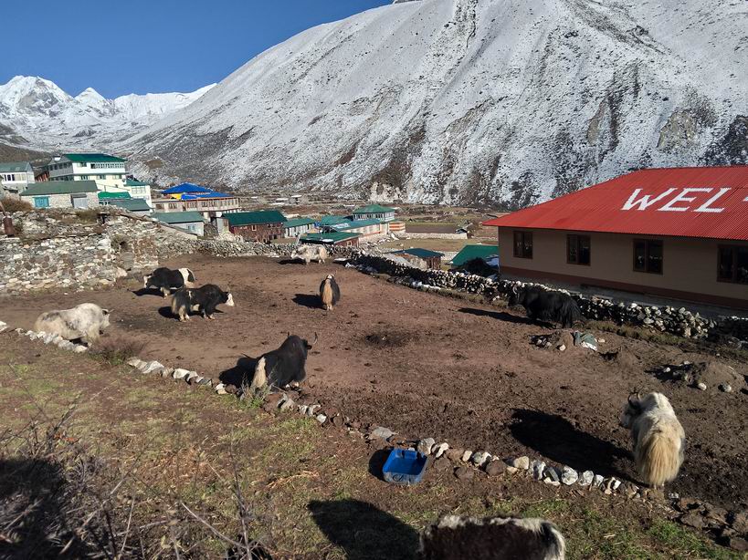 Парк "Сагарматха". Трек "Три перевала", на пределе физических сил.