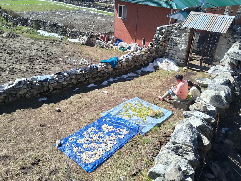 Парк "Сагарматха". Трек "Три перевала", на пределе физических сил.