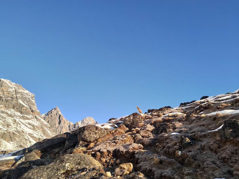 Парк "Сагарматха". Трек "Три перевала", на пределе физических сил.