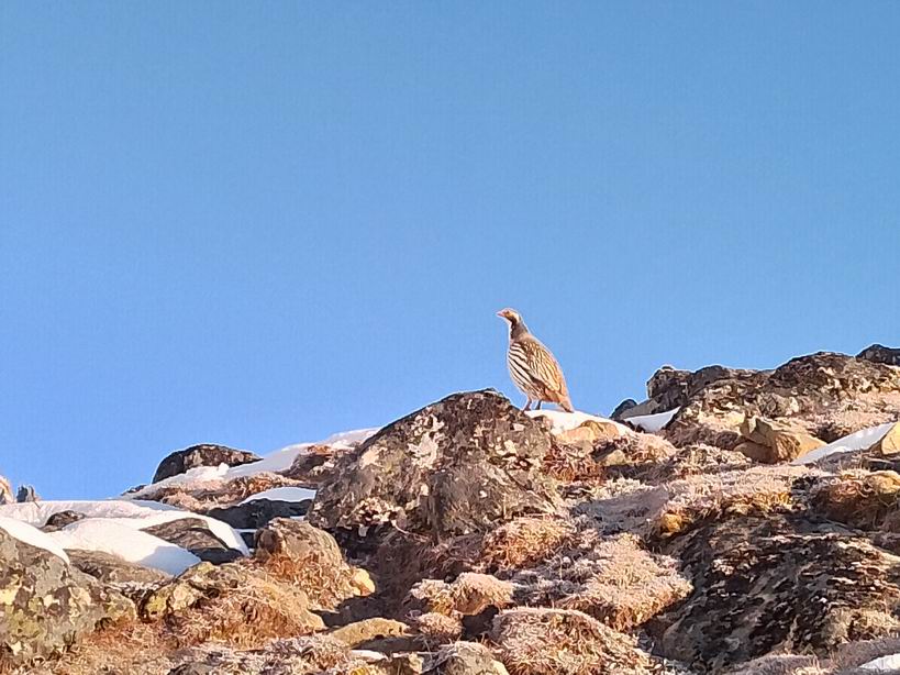 Парк "Сагарматха". Трек "Три перевала", на пределе физических сил.
